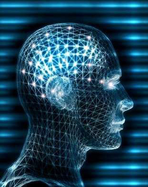 La guida come attività motoria specializzata e specializzabile.